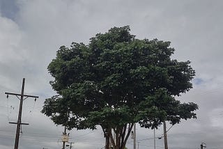 Ensaio (para) SESI(ar)