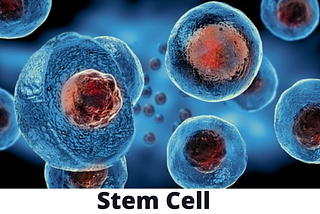 Here is some Breaking News About Adult Stem Cells