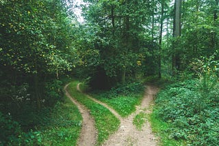 A forest path separates into two paths heading different directions. One path is heavily travelled; the other is not.