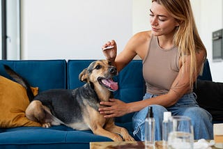 CBDMD Pet Dosage: A Complete Guide for Pet Owners