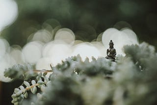 A small buddha statue sitting on a plant.