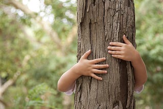 The Tree Climber
