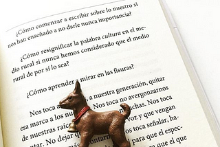 Esto no es una reseña de ‘Tierra de mujeres’, de María Sánchez
