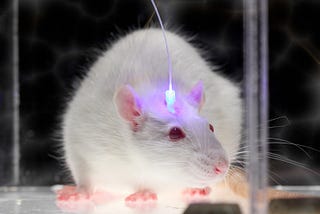 Optogenetics — Achieving Mind Control With Science