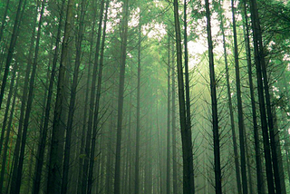 Vrachanski Balkan Nature Park, Bulgaria