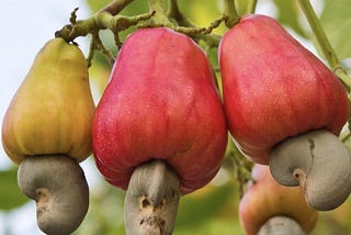 Are cashew nuts taking away barakah from our lives?