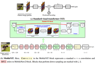 Papers Explained 40: MobileViT