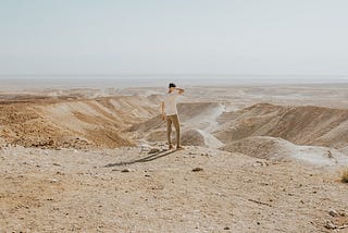 Man looking at desert.