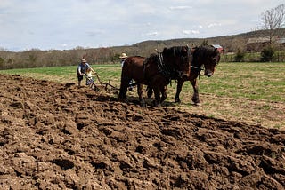 On Value Creation in Digital Agriculture