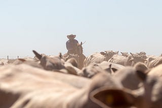 Nueva estancia de Campos Morombí