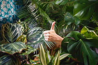 A thumbs-up hand sign in the middle of green lush plants.