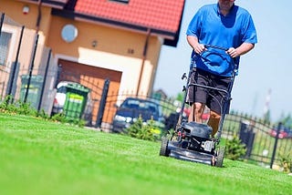 Reasons Why You Should Consider Hiring a Company That Offers Lawn Care Service