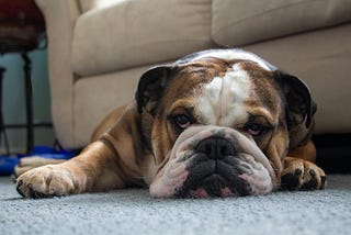 Why You Don't Feel Like Doing Anything