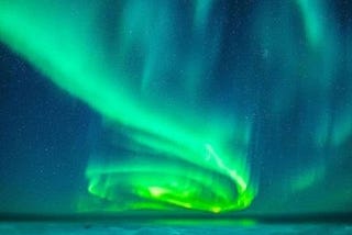 polar bear looking at camera on snow, night, under aurora borealis flashing green light, dark sky