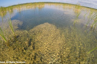 What’s Going On In Everglades National Park?