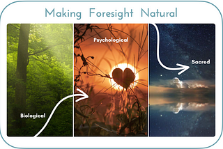 Making Foresight Natural: Embracing the Biological, Psychological, and Sacred Dynamics of Futuring…