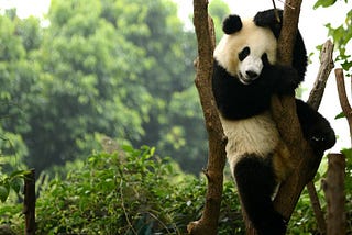 Pandas kütüphanesi ile Keşifsel Veri Analizi 📊