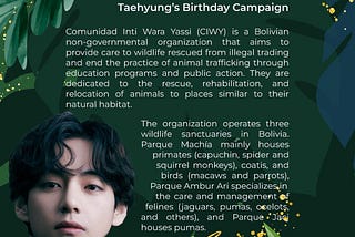 Birthday Flash Fundraiser for Taehyung: #RehabiliTae this December by Showing Care for Wild Animals…
