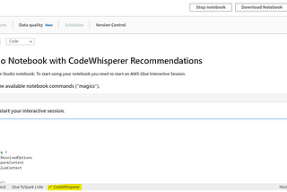 Gen AI powered by Amazon Code Whisperer within AWS Glue Studio Notebooks