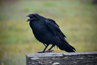 Raven’s Ritual