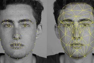 Building an architecturally viable Facial Recognition System