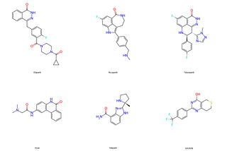 2D chemical structures of six poly(ADP-ribose) polymerase (PARP) inhibitors used in this study. Top row include three FDA approved compounds (olaparib, rucaparib, and talazoparib), bottom row include three investigational compounds (PJ34, veliparib, and XAV939)