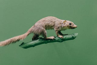 Friday Links: Design Edition