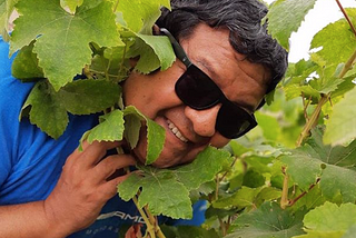 Pepe Moquillaza — Vinos naturales en Perú
