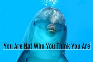 You Are Not Who You Think You Are.