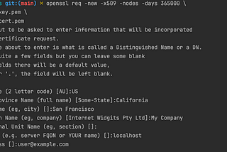tls: failed to verify certificate: x509: certificate is not valid for any names, but wanted to…