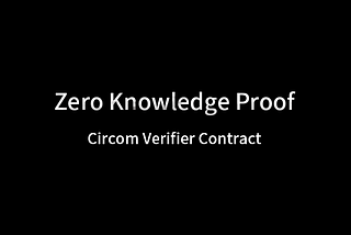 ZKP Series: Pseudonym Input Vulnerability in Circom’s Verification Contract has Been Replicated