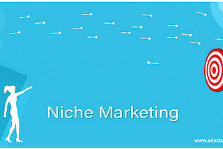 Niche marketing has many benefits for a successful social media campaign.