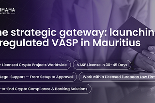 The strategic gateway: launching a regulated VASP in Mauritius