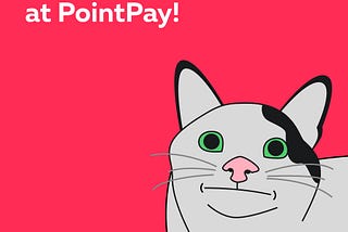 PointPay Meme Competitions!