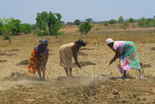 The Trouble with Climate Change Is It’s Not Happening Fast Enough