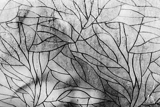 black and white photo of a window with patterned vinyl covering it, shapes of branches outside leave shadows on it