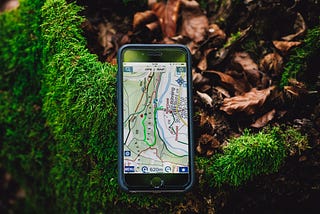 How Your Internal GPS Works