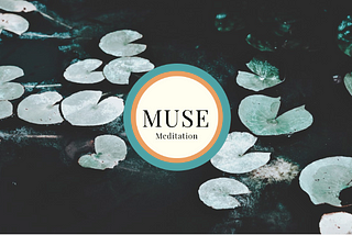 Muse Meditation — App for NWI- Case Study