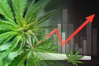 3 Pot Stocks to Watch