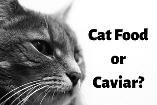 There comes a time when you ask yourself a simple question: catfood or caviar?