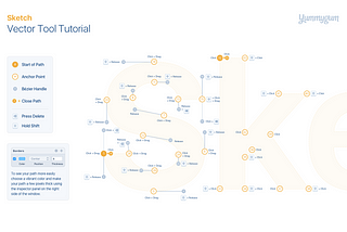 Mastering the Sketch Vector Tool