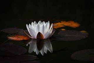 Fixing ADD by Learning Meditation