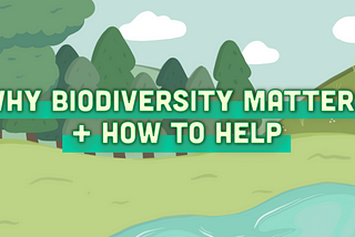 Why biodiversity matters, and what YOU can do to help!