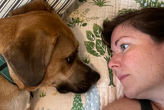 A woman and her dog stare at each other in bed.