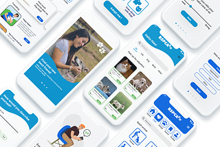 Case study: Concept design process of a pet care app for RSPCA