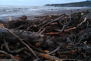 A view of Stonehaven Bay, looking south towards Downie Point. The sea is rough and the shingle beach is mostly covered with tangled driftwood.