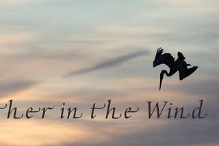 Feather in the Wind