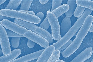 CRISPR E. coli Detection — An Easy & Accurate Way to Detect E. coli