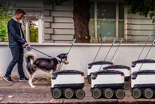 A young white man wearing a denim jacket walks on a sidewalk with a husky on a leash. They approach a pack of six small delivery robots, approximately the size of a child’s trike that have covered the majority of the sidewalk.