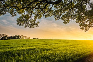 Breaking Through the Soil